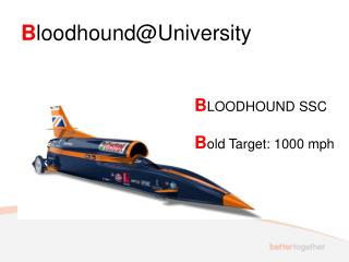 B loodhound@University