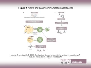 Figure 1 Active and passive immunization approaches
