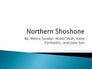 Northern Shoshone