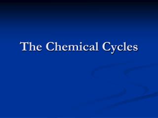 The Chemical Cycles