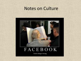 Notes on Culture