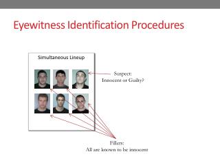 Eyewitness Identification Procedures