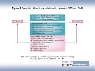Figure 2 Potential bidirectional relationship between RCC and CKD