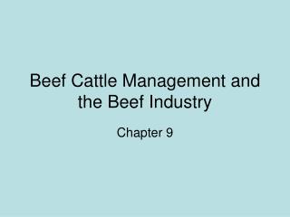 Beef Cattle Management and the Beef Industry