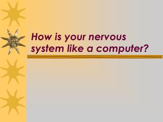 How is your nervous system like a computer?
