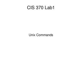 CIS 370 Lab1