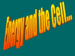 Energy and the Cell...