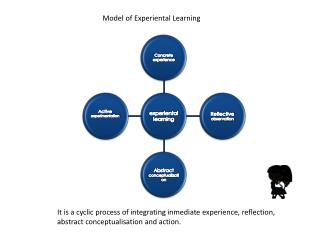 Model of Experiental Learning