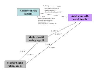 Adolescent risk factors