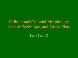 Cellular and Colonial Morphology Aseptic Technique, and Streak Plate