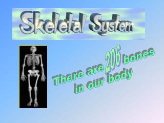 There are bones in our body