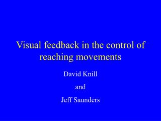 Visual feedback in the control of reaching movements