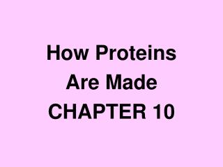 How Proteins Are Made CHAPTER 10