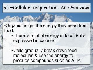 9.1~Cellular Respiration: An Overview