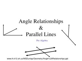 Angle Relationships &amp; Parallel Lines