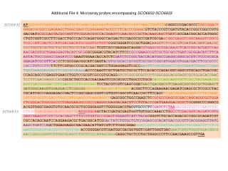 Additional File 4: Microarray probes encompassing SCO6832-SCO6833