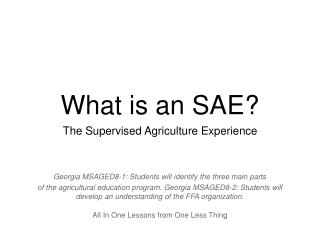 What is an SAE?