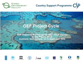 GEF Project Cycle
