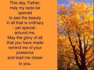 This day, Father,