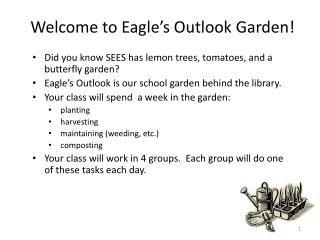 Welcome to Eagle’s Outlook Garden!