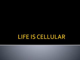 LIFE IS CELLULAR
