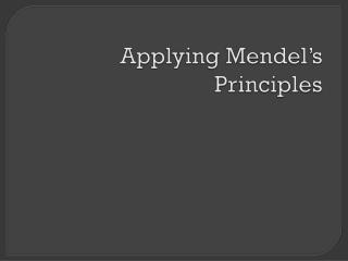 Applying Mendel’s Principles