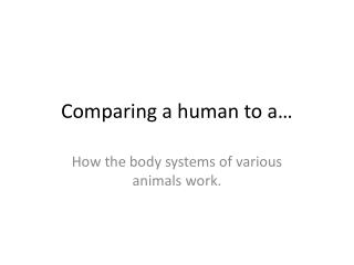 Comparing a human to a…