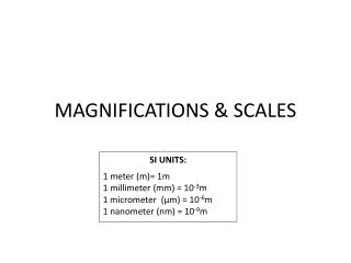 MAGNIFICATIONS &amp; SCALES