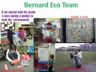 Bernard Eco Team