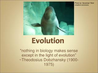 &quot;nothing in biology makes sense except in the light of evolution”
