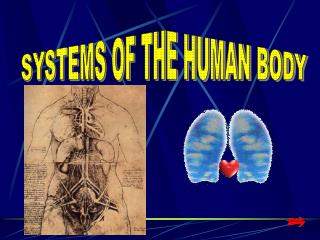 SYSTEMS OF THE HUMAN BODY