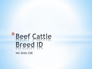 Beef Cattle Breed ID