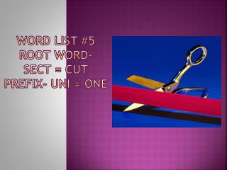 Word list #5 root word- sect = cut prefix- uni = one