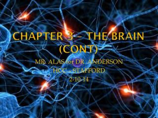 CHAPTER 3 – THE BRAIN ( cont )