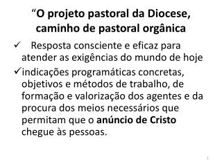 “ O projeto pastoral da Diocese, caminho de pastoral orgânica