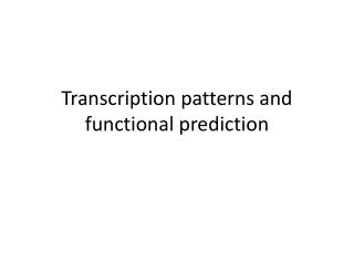 Transcription patterns and functional prediction