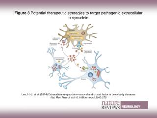 Figure 3 Potential therapeutic strategies to target pathogenic extracellular α‑synuclein
