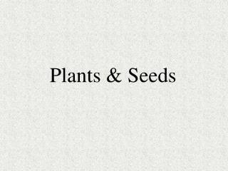 Plants &amp; Seeds