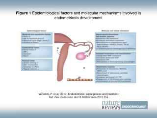 Figure 1 Epidemiological factors and molecular mechanisms involved in endometriosis development