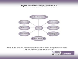 Figure 1 Functions and properties of HDL