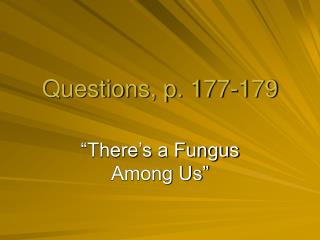 Questions, p. 177-179