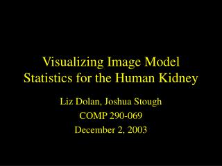 Visualizing Image Model Statistics for the Human Kidney