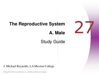 The Reproductive System A. Male Study Guide