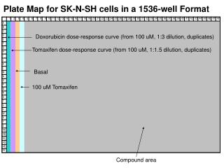 Plate Map for SK-N-SH cells in a 1536-well Format