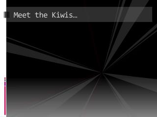 Meet the Kiwis…