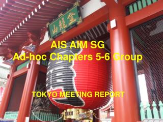 AIS AIM SG Ad-hoc Chapters 5-6 Group