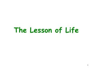 The Lesson of Life