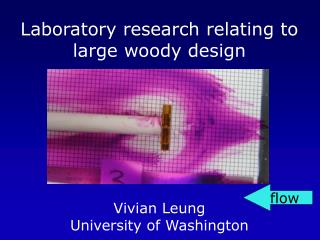 Laboratory research relating to large woody design