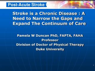 Stroke is a Chronic Disease : A Need to Narrow the Gaps and Expand The Continuum of Care