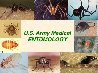 U.S. Army Medical ENTOMOLOGY